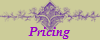 Pricing